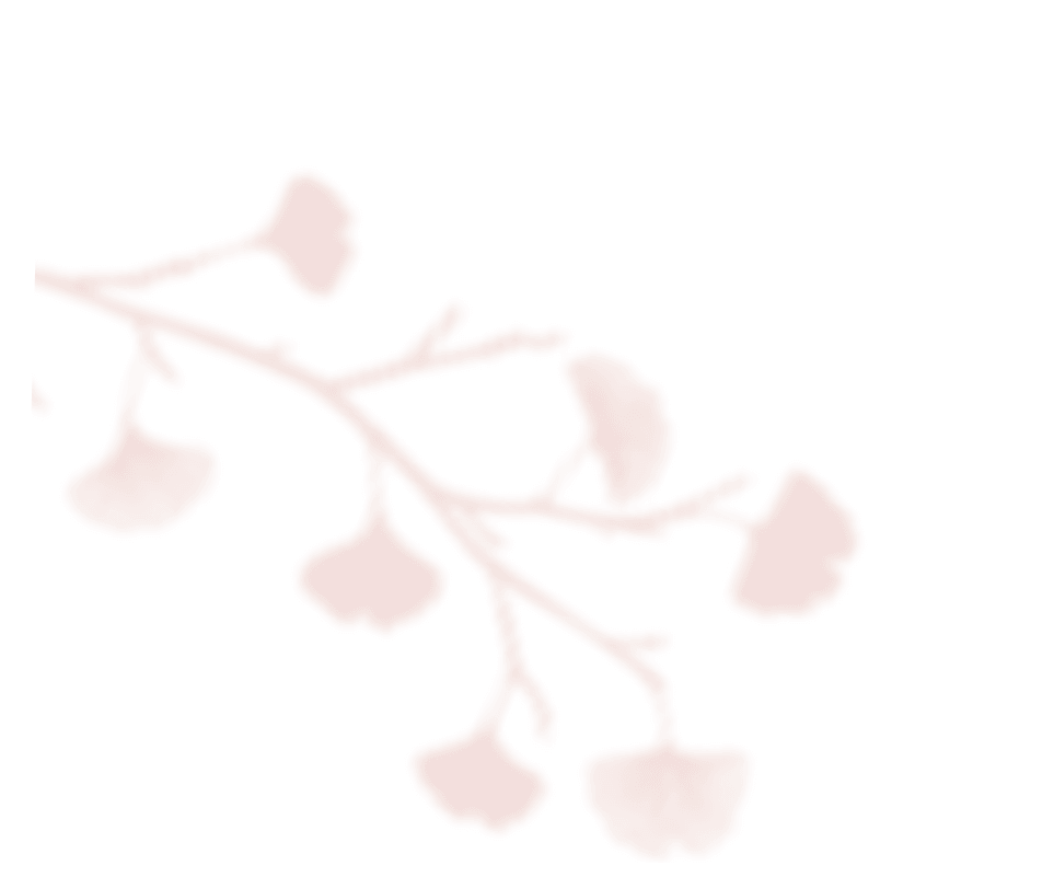 https://www.rachelandlucasbabyshower.com/wp-content/uploads/2020/12/shadow_leaves_06.png